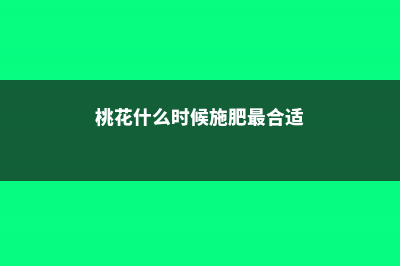 桃花什么时候施肥，桃花盆栽施肥方法 (桃花什么时候施肥最合适)