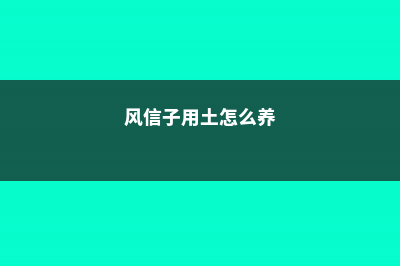 土养风信子怎么养护，有什么注意事项 (风信子用土怎么养)