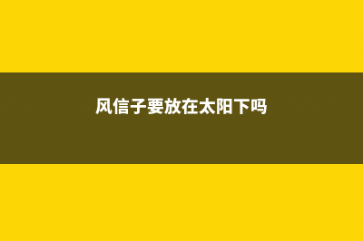 风信子能在太阳下晒吗，会不会被晒死 (风信子要放在太阳下吗)