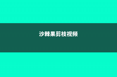 沙棘的修剪技术，沙棘整形修剪方法 (沙棘果剪枝视频)