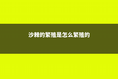 沙棘繁殖方法，沙棘树怎样繁殖 (沙棘的繁殖是怎么繁殖的)