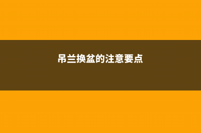 吊兰换盆的注意事项，换盆最好用什么土 (吊兰换盆的注意要点)