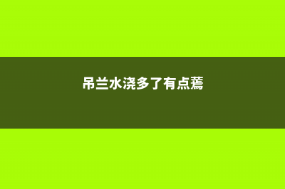 吊兰水浇多了怎么补救，吊兰浇水多久一次 (吊兰水浇多了有点蔫)