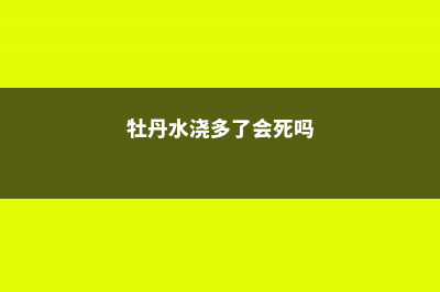 牡丹浇水多了症状，浇水多了怎么办 (牡丹水浇多了会死吗)