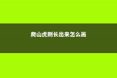 爬山虎怎样才长得快，冬季落叶吗 (爬山虎刚长出来怎么画)