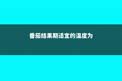 番茄结果期要注意什么，要授粉吗 (番茄结果期适宜的温度为)