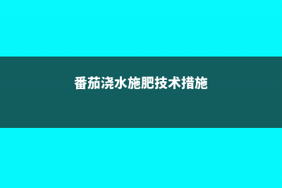 番茄浇水技术措施，番茄浇水原则 (番茄浇水施肥技术措施)