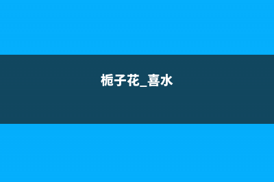 栀子花喜水还是喜干，浇水时可以加什么 (栀子花 喜水)