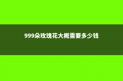 玫瑰花需要什么土壤种植，土壤如何消毒 (999朵玫瑰花大概需要多少钱)