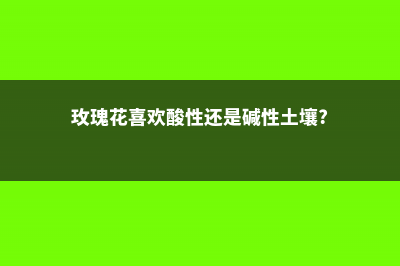 玫瑰花喜欢酸性土壤还是碱性土壤，土壤配置 (玫瑰花喜欢酸性还是碱性土壤?)