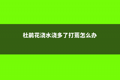 杜鹃花浇水浇多了怎么办，浇水可以喷叶吗 (杜鹃花浇水浇多了打蔫怎么办)