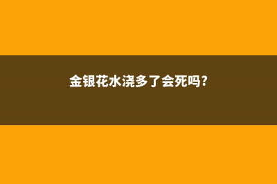 金银花浇水多了怎么办，浇水多了会怎样 (金银花水浇多了会死吗?)