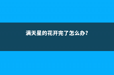 满天星开完花如何处理，枯了能剪掉吗 (满天星的花开完了怎么办?)