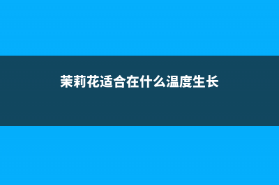 茉莉花适合在什么土壤中生长，茉莉花好养吗 (茉莉花适合在什么温度生长)