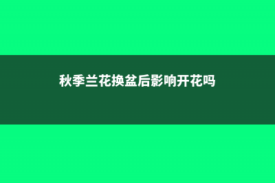 秋季兰花换盆后多久可以服盆，服盆期不能见光吗 (秋季兰花换盆后影响开花吗)