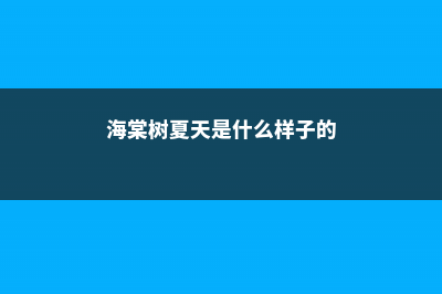 海棠树夏天的时候需要浇水吗，冬季几天浇一次水 (海棠树夏天是什么样子的)