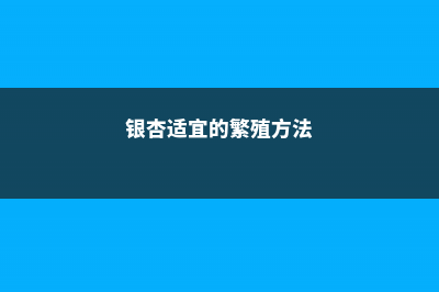 银杏分株繁殖技术，银杏树是怎么繁殖的 (银杏适宜的繁殖方法)