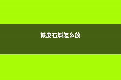 铁皮石斛如何安全越冬，铁皮石斛会被冻死吗 (铁皮石斛怎么放)