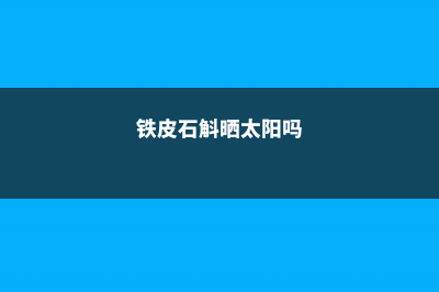 铁皮石斛能晒太阳吗，晒后会死吗 (铁皮石斛晒太阳吗)