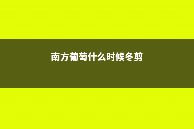 南方葡萄什么时候剪枝，怎么修剪方法 (南方葡萄什么时候冬剪)