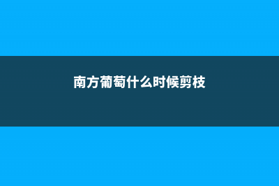 南方葡萄什么时候修剪，修剪时间和方法 (南方葡萄什么时候剪枝)