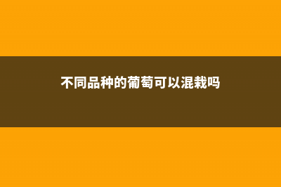 不同品种的葡萄花期介绍，葡萄花期多长时间 (不同品种的葡萄可以混栽吗)