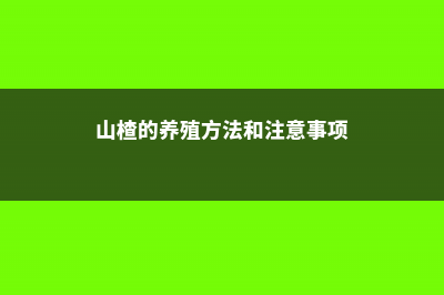 山楂怎么养，山楂能在家里养吗 (山楂的养殖方法和注意事项)