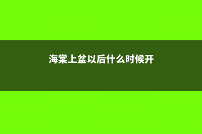 海棠上盆以后什么时候浇水，浇水过多怎么办 (海棠上盆以后什么时候开)