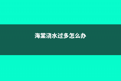 海棠浇水的正确方法，浇水过少的表现 (海棠浇水过多怎么办)