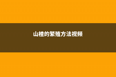 山楂的繁殖方法，山楂几年挂果 (山楂的繁殖方法视频)