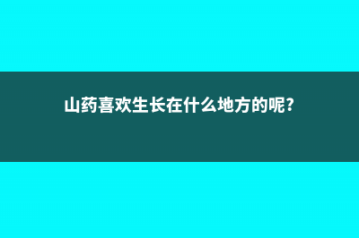 山药喜欢生长在什么样的环境，山药对土壤的要求 (山药喜欢生长在什么地方的呢?)