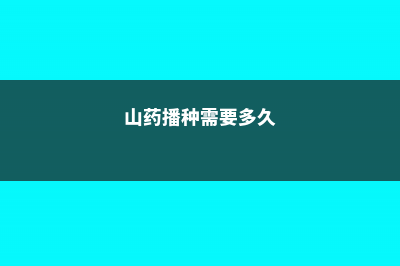 山药播种需要多长时间，山药种植方法有几种 (山药播种需要多久)