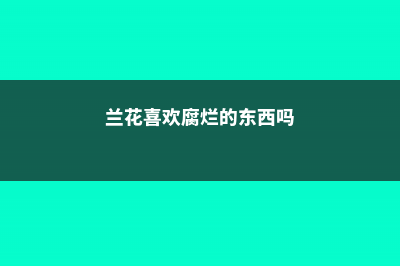 兰花喜欢腐肉吗，可以用腐肉施肥吗 (兰花喜欢腐烂的东西吗)