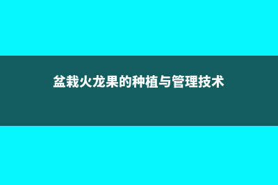 盆栽火龙果的养殖方法和注意事项，怎么修剪 (盆栽火龙果的种植与管理技术)