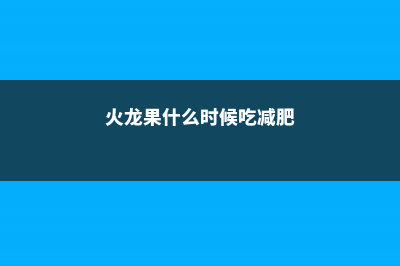 火龙果什么时候换盆，换盆注意事项 (火龙果什么时候吃减肥)