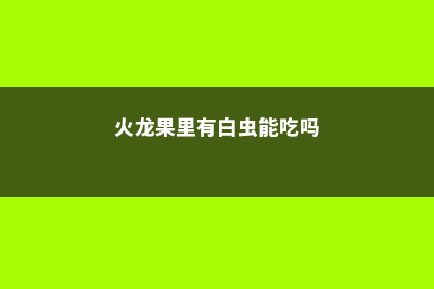 火龙果里有白虫正常吗，怎么保存的时间长 (火龙果里有白虫能吃吗)