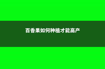 百香果如何种植管理，浇水到叶子上好吗 (百香果如何种植才能高产)