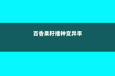 百香果籽的播种方法，晒不到太阳能结果吗 (百香果籽播种变异率)