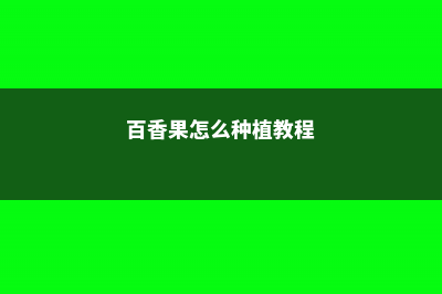 百香果怎么种植，刚刚种的百香果浇几次水 (百香果怎么种植教程)