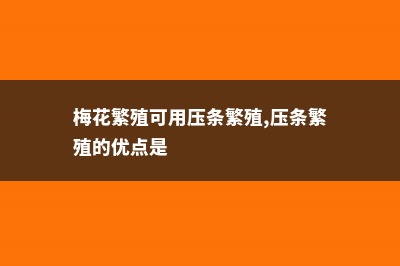 梅花压条一般在几月份，梅花的高压繁殖方法 (梅花繁殖可用压条繁殖,压条繁殖的优点是)