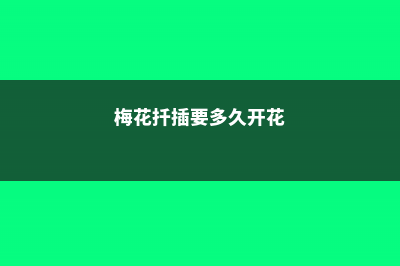 梅花扦插要多久能生根，梅花扦插繁殖方法 (梅花扦插要多久开花)