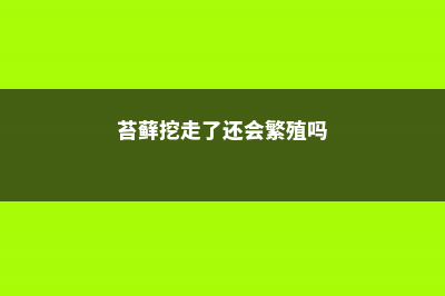 挖来的苔藓怎么养？这样成活率最高！ (苔藓挖走了还会繁殖吗)