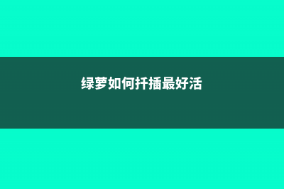 绿萝如何扦插，如何水培 (绿萝如何扦插最好活)