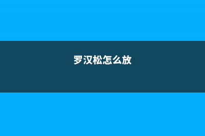 罗汉松如何安全过冬，0下10度能过冬吗 (罗汉松怎么放)