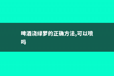 啤酒浇绿萝的正确方法 (啤酒浇绿萝的正确方法,可以喷吗)