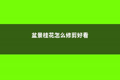 盆景桂花怎么修剪，如何修剪成型 (盆景桂花怎么修剪好看)