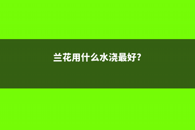 浇兰花用什么水才合适 (兰花用什么水浇最好?)