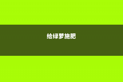 绿萝施肥需施什么肥料，叶黄施什么肥 (给绿萝施肥)