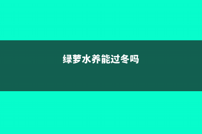 绿萝水养冬天会冻死吗，冬季可以晒太阳吗 (绿萝水养能过冬吗)