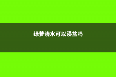 绿萝浇水可以浸盆吗，可以加醋吗 (绿萝浇水可以浸盆吗)